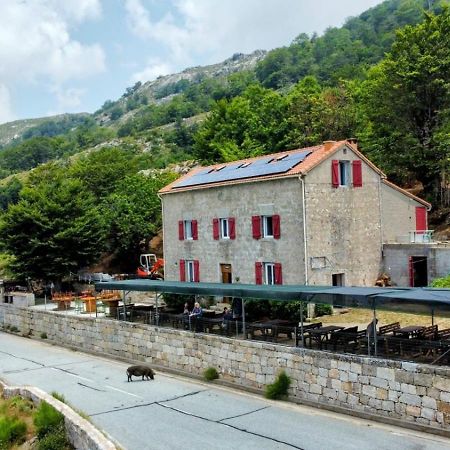 Ferme Auberge Du Col De La Vaccia Olivese Exterior photo
